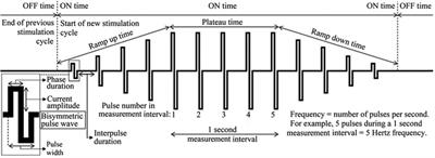 Unlocking the potential of neuromuscular electrical stimulation: achieving physical activity benefits for all abilities